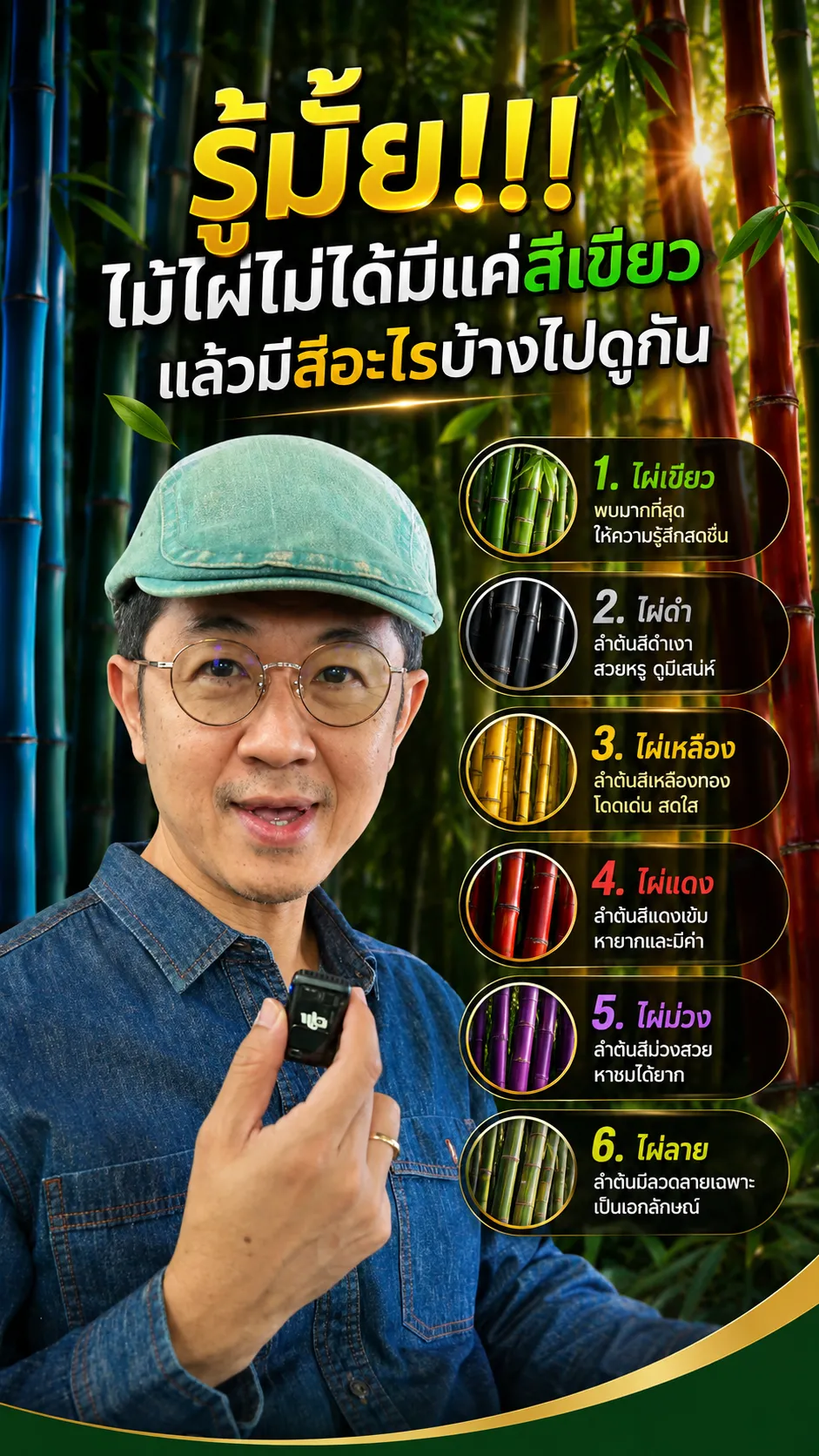 ภาพปกวิดีโอ EP06 Bamboo Colors